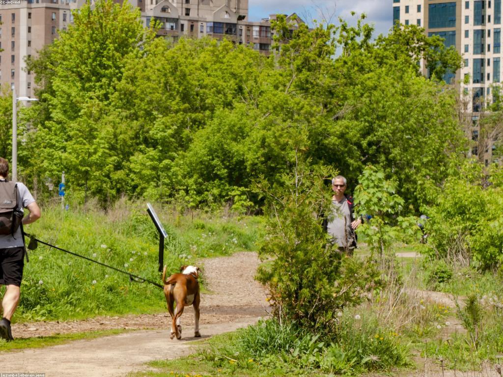 ការស្វែងរកសកម្មភាពកំសាន្តក្នុងប្រទេស