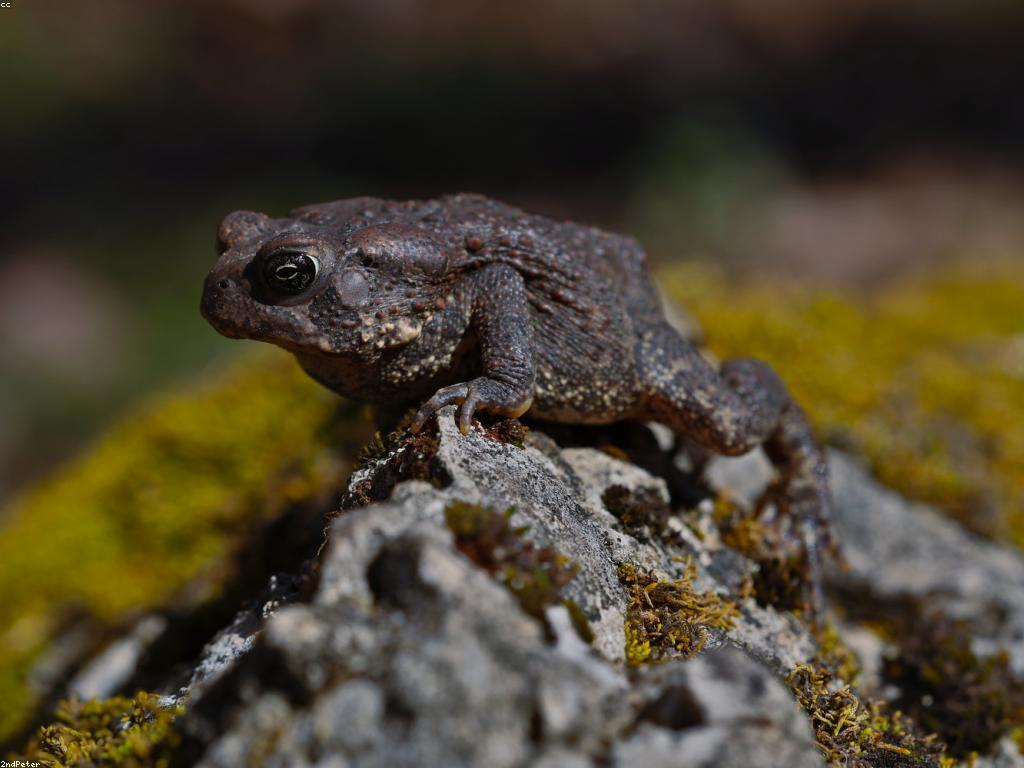 ការស្វែងរកអារម្មណ៍នៃការធ្វើដំណើរពិភពលោក