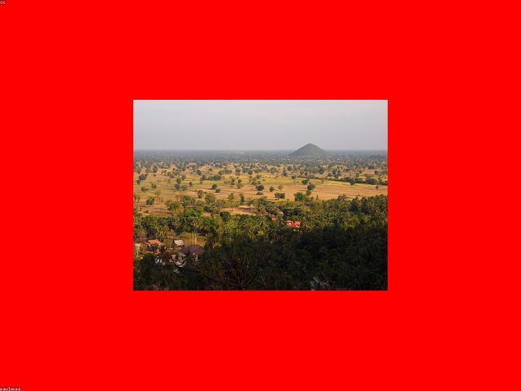 ការស្វែងរកវប្បធម៌ក្នុងប្រទេស