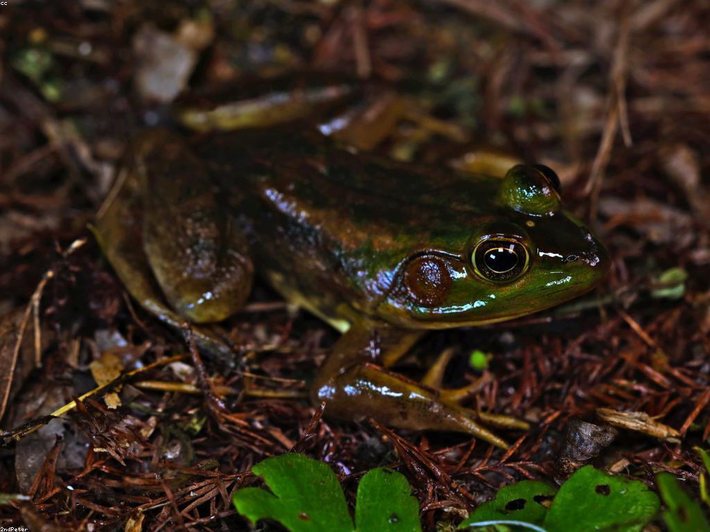 បទពិសោធន៍នៃការធ្វើដំណើរពិភពលោក