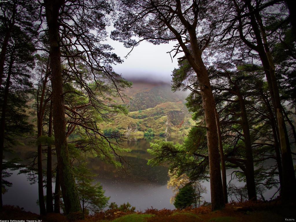 ការលើកកម្ពស់ការកំសាន្តក្នុងប្រទេស